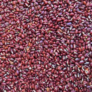 Bamboo / Adzuki Beans