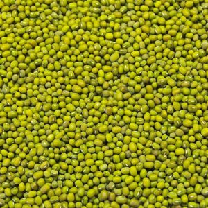 Green Mung Beans