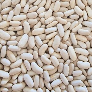 Alubia / White Kidney Beans