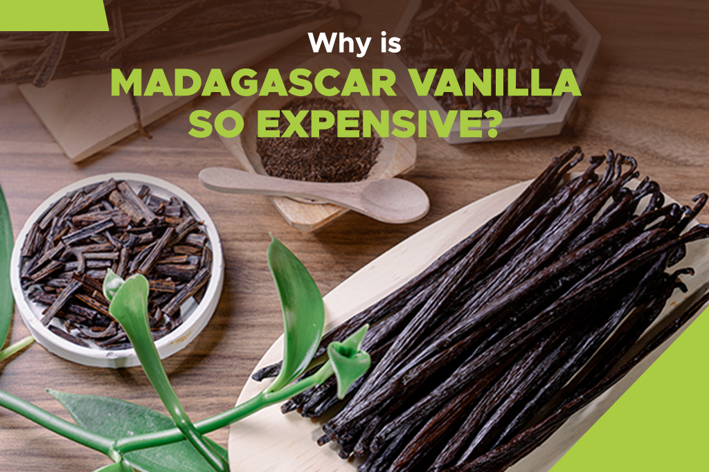 Why is Madagascar Vanilla So Expensive?