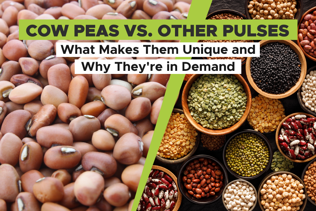 Cow Peas vs. Other Pulses: What Makes Them Unique and Why They’re in Demand