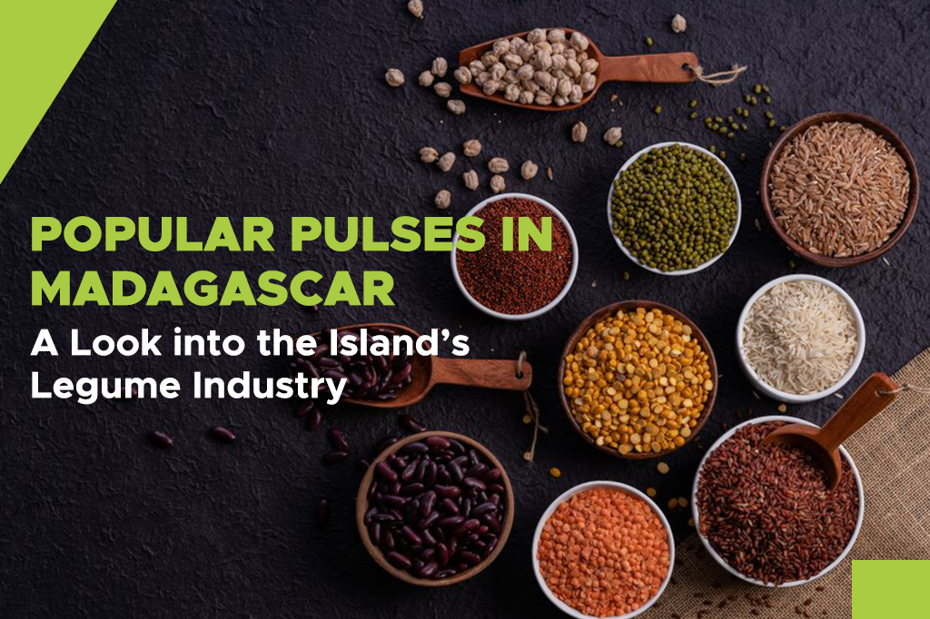 Popular Pulses in Madagascar: A Look into the Island’s Legume Industry