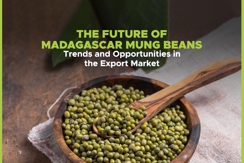 The Future of Madagascar Mung Beans: Trends and Opportunities in the Export Market
