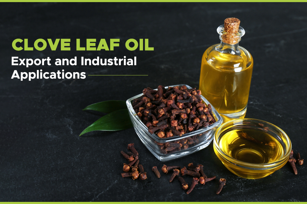 CLOVE LEAF OIL : Export and Industrial Applications