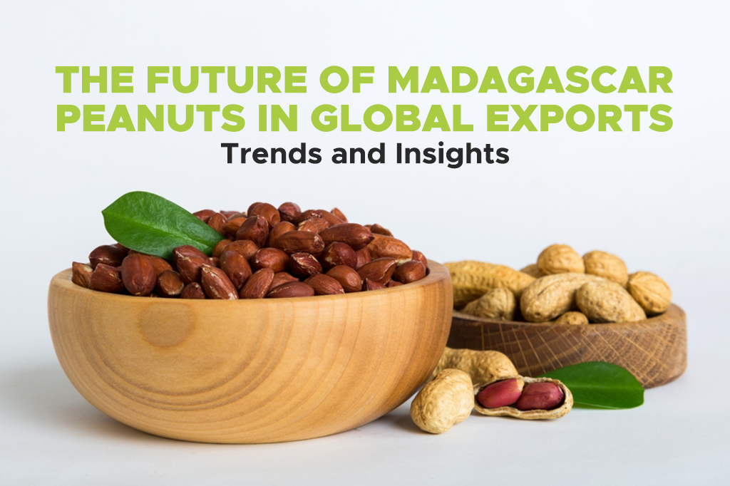 The Future of Madagascar Peanuts in Global Exports: Trends and Insights