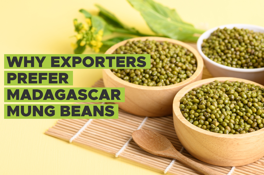 Why Exporters Prefer Madagascar Mung Beans