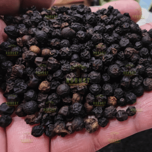 Black Pepper