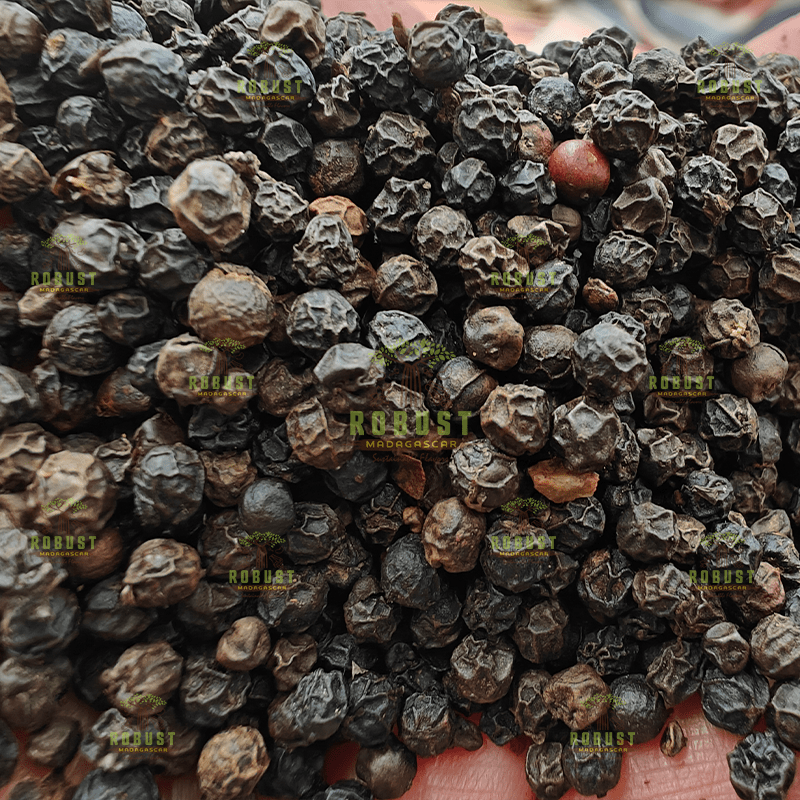 Black Pepper - Image 3