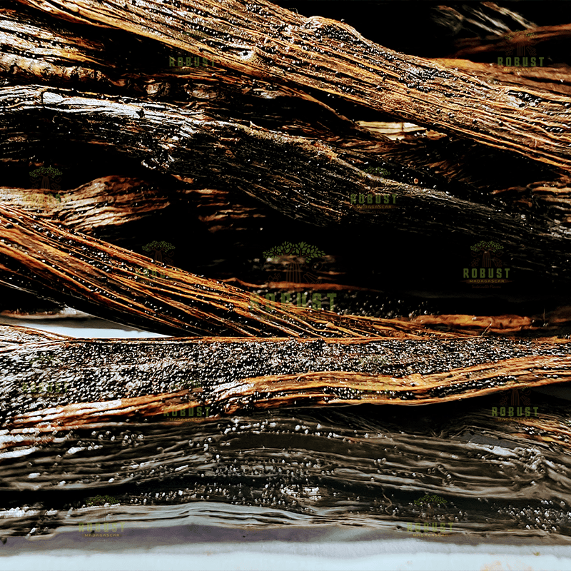 Red US Extraction Vanilla Beans - Image 3