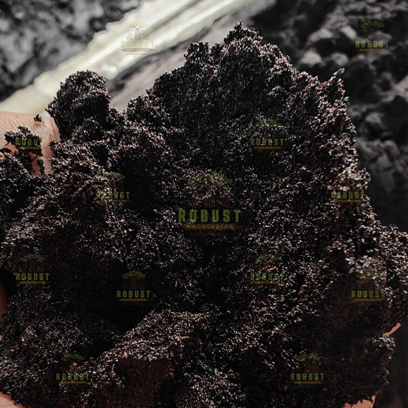 Vanilla Seeds - Image 3